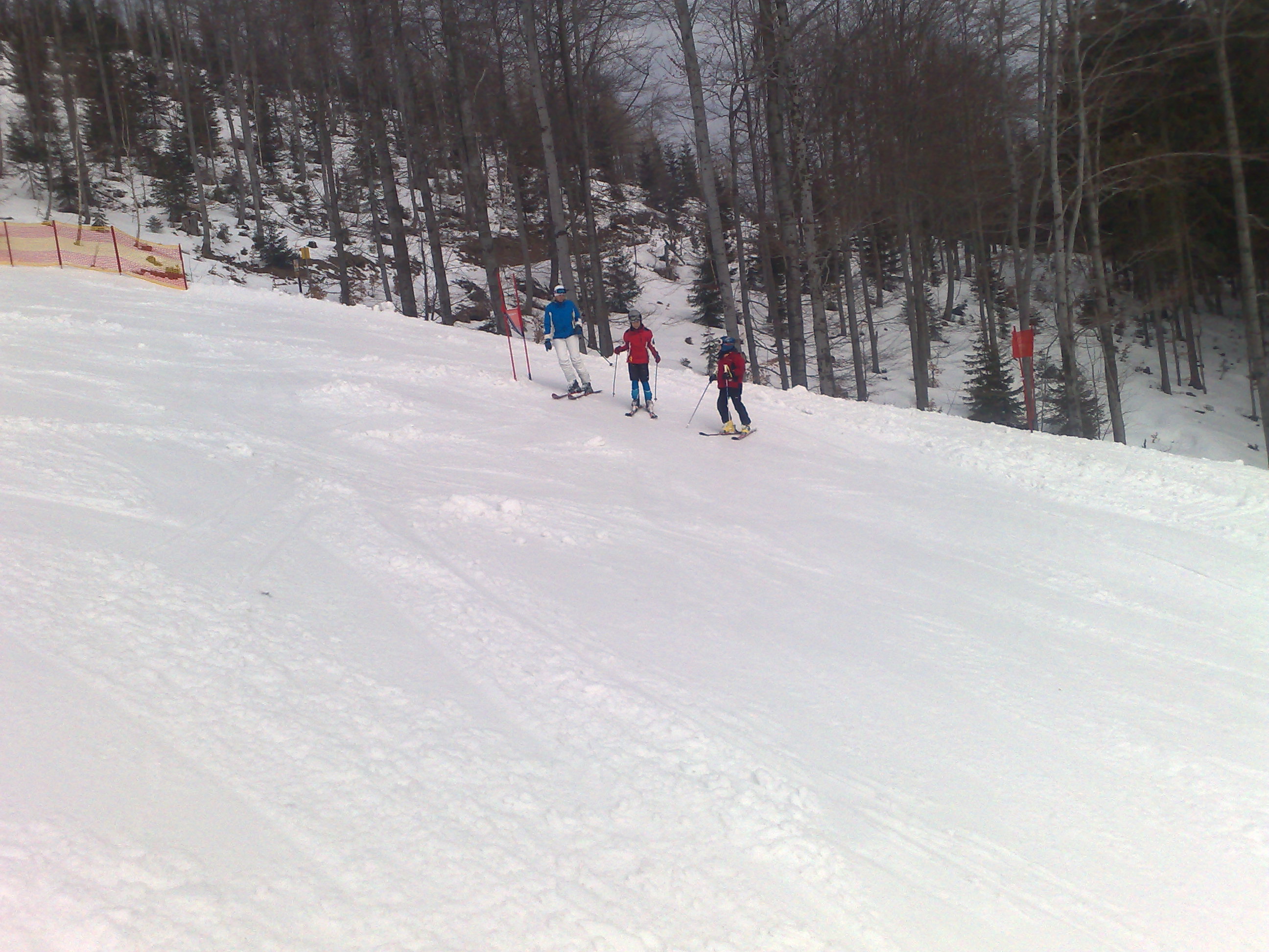 080320081382.jpg
